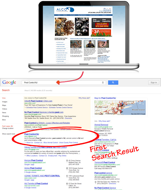 Pest Control Website Design - Google