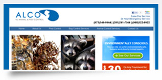 Internet Marketing Success Stories - Pest Control
